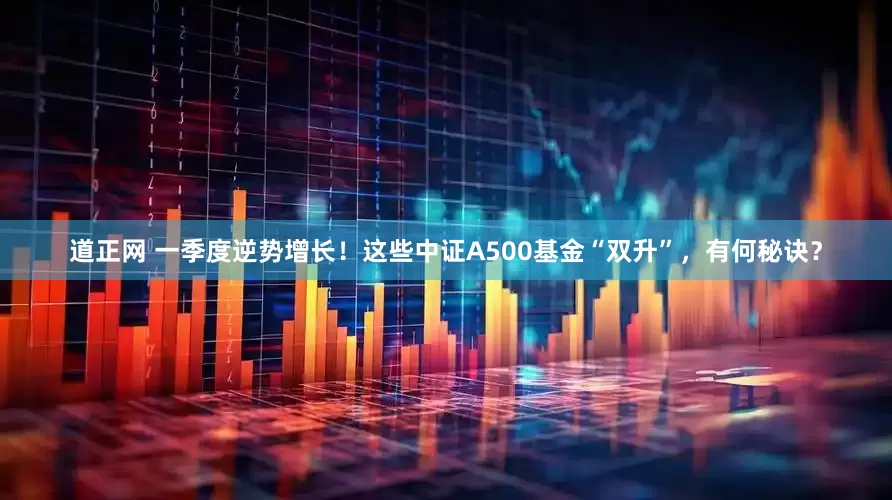 道正网 一季度逆势增长！这些中证A500基金“双升”，有何秘诀？