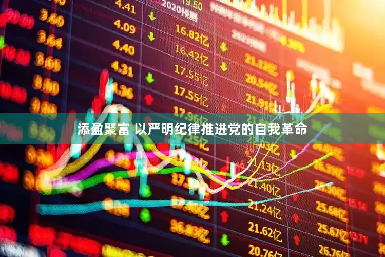 添盈聚富 以严明纪律推进党的自我革命