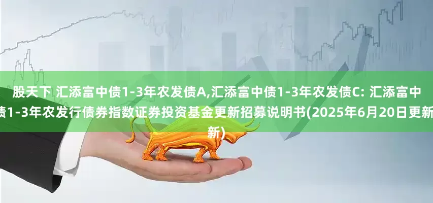 股天下 汇添富中债1-3年农发债A,汇添富中债1-3年农发债C: 汇添富中债1-3年农发行债券指数证券投资基金更新招募说明书(2025年6月20日更新)