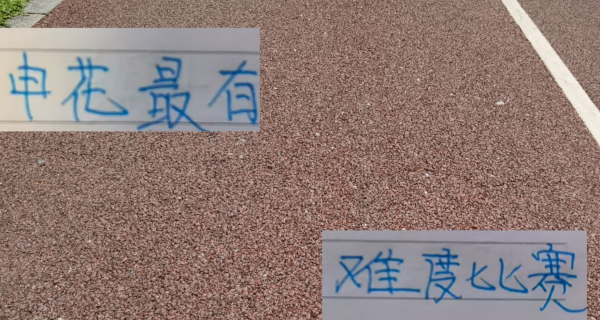 万全之策 最后7轮！申花最有难度比赛可能不是主场打山东成都 而是打天津