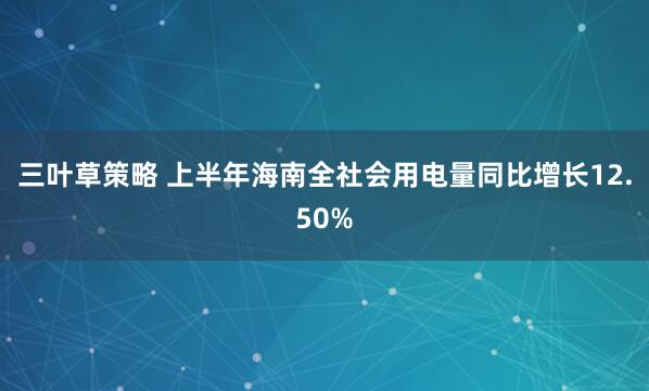 三叶草策略 上半年海南全社会用电量同比增长12.50%